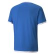TEAMSPORT,PUMA
