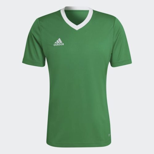 TEAMSPORT,ADIDAS